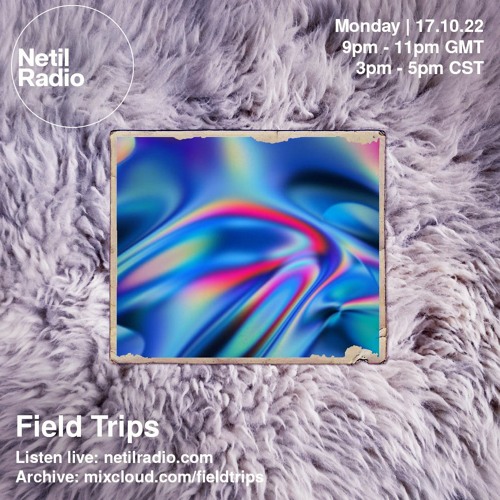 Field Trips  - Live from The White Rug