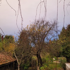 Millenium Ambiance ~ Ch1ma (Beat)