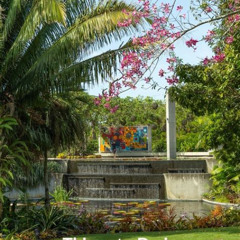 Best Cheap Things To Do In Southwest Florida Tours Reviews