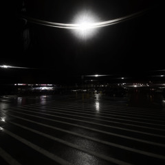 Molly OG FT BLACK FORTUNE