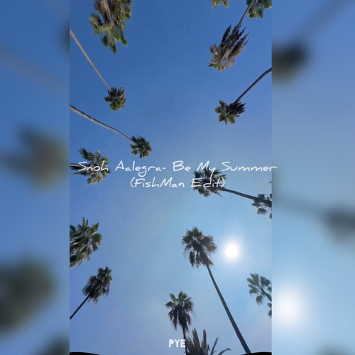 Snoh Aalegra- Be My Summer(Fishman Edit).wav