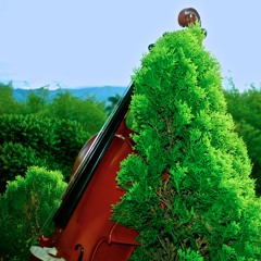 Cello in Green, piano & drums*