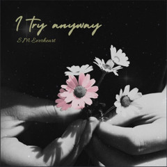 i try anyway