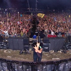 Chicken Dippaz (Bassnectar Edit)