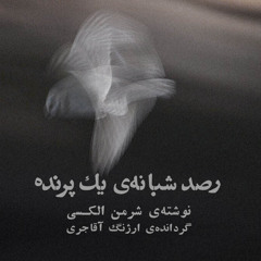 رصد شبانه‌ی یک پرنده || ترجمه و ساخته‌ی ارژنگ آقاجری