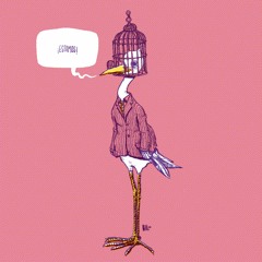 “El Magnetismo”, Lucia Tacchetti