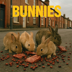 Bunnies Trilogy (Lenz-Krafterz Cover)