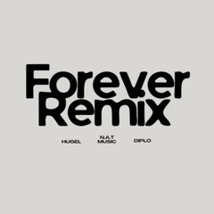 Hugel & Diplo - Forever (N.A.T Remix)