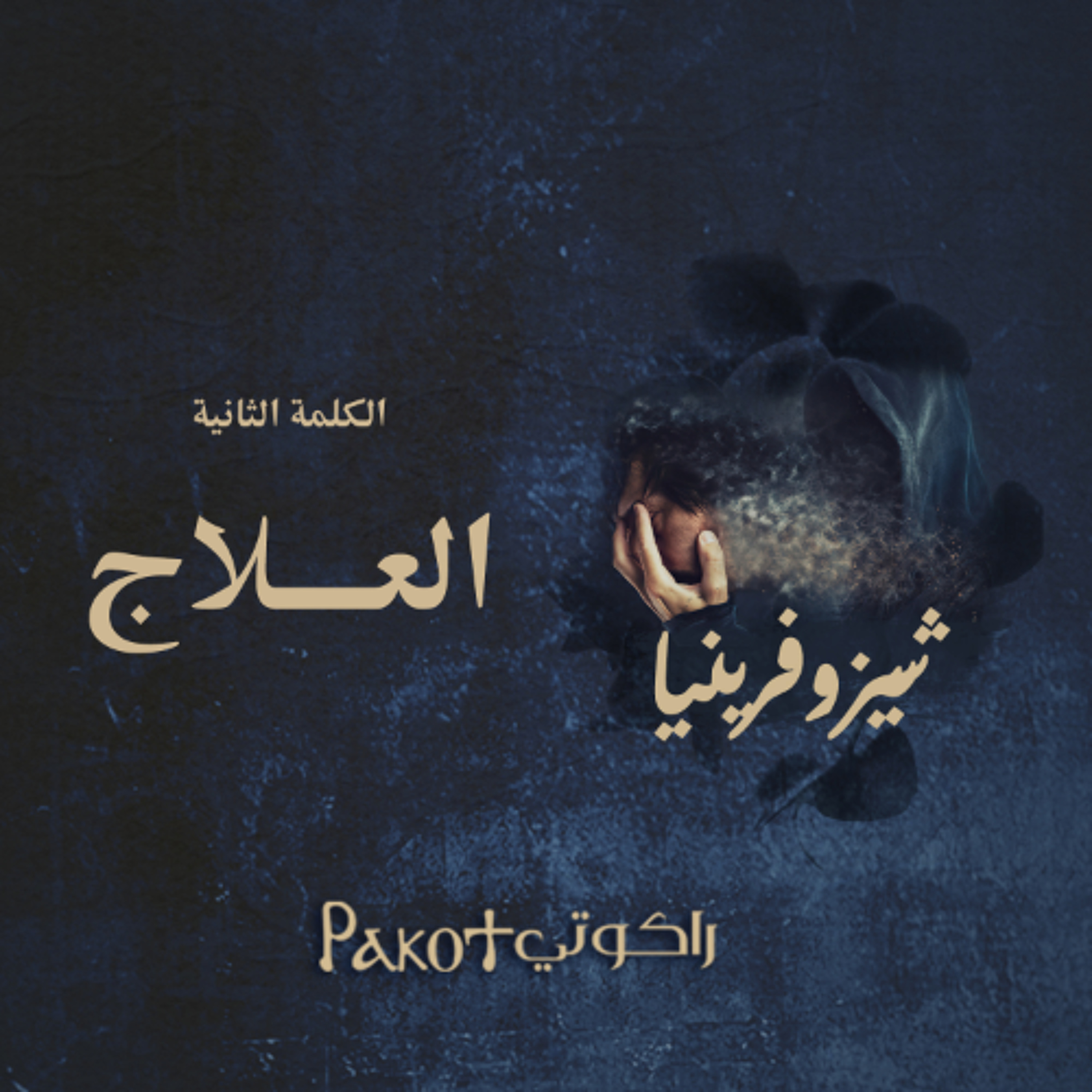 خلوة شيزوفرينيا| الكلمة الثانية - العلاج| الشماس/ رفيق جمال