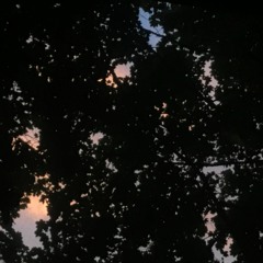 Happy Birthday To You