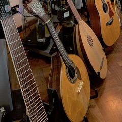 Frets & Strings (playlist)