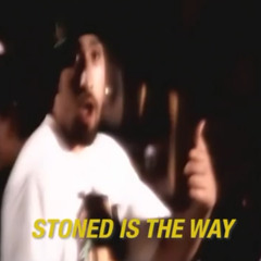 Loop Kitchen~ette  microwave five ~ Party on the Hill