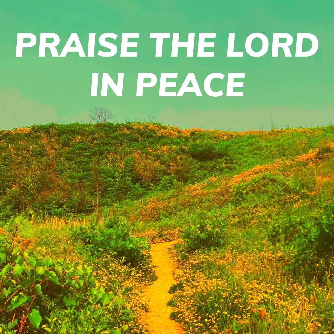 Stream Praise The Lord In Peace by Dosey Doh | Listen online for free ...