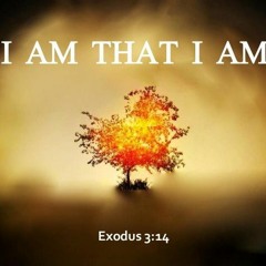 I AM THAT I AM(EXODUS 3:14)
