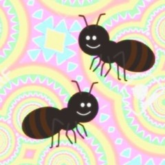 Ant Walk