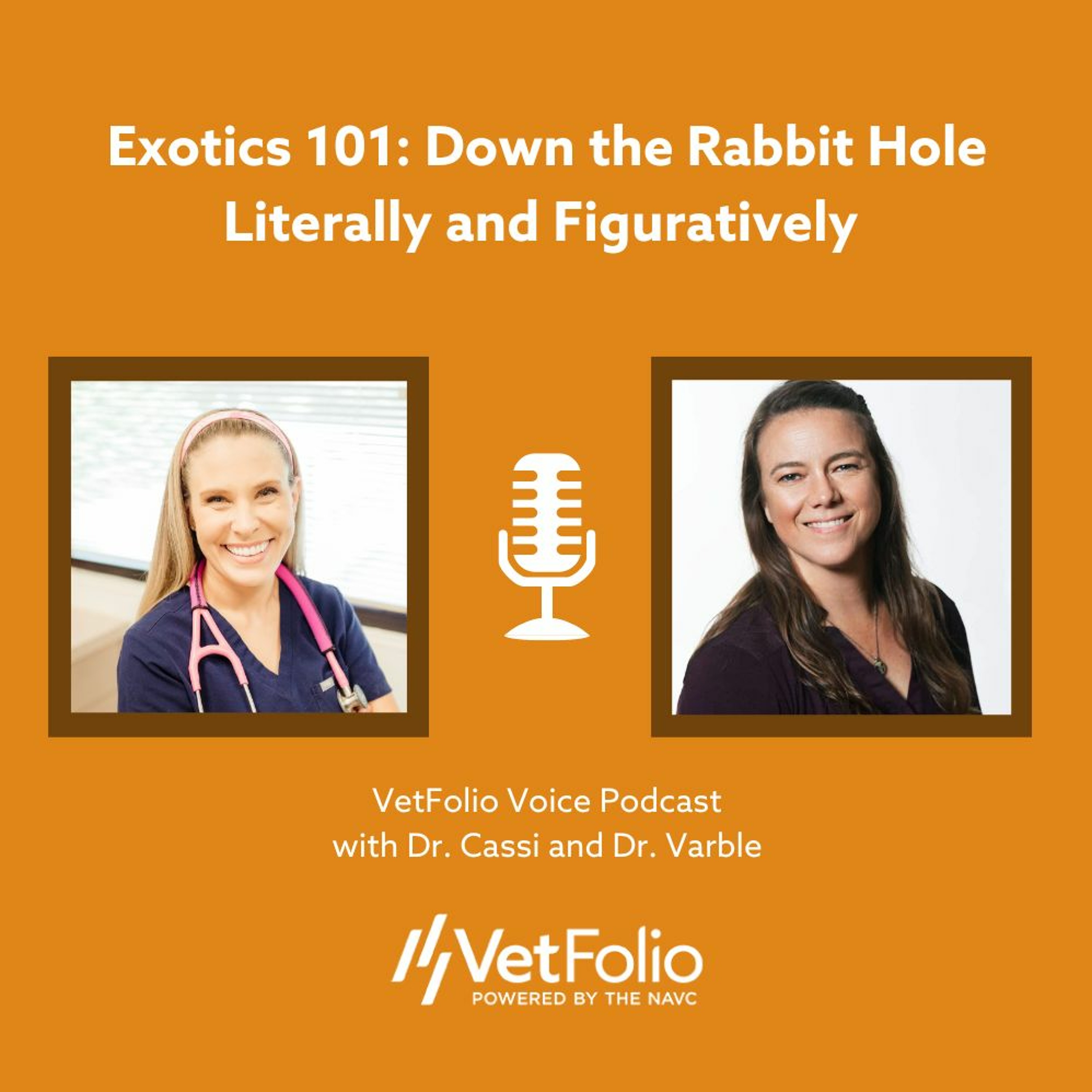 VetFolio Voice