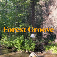 KXiTi Forest Groove Mix 2025