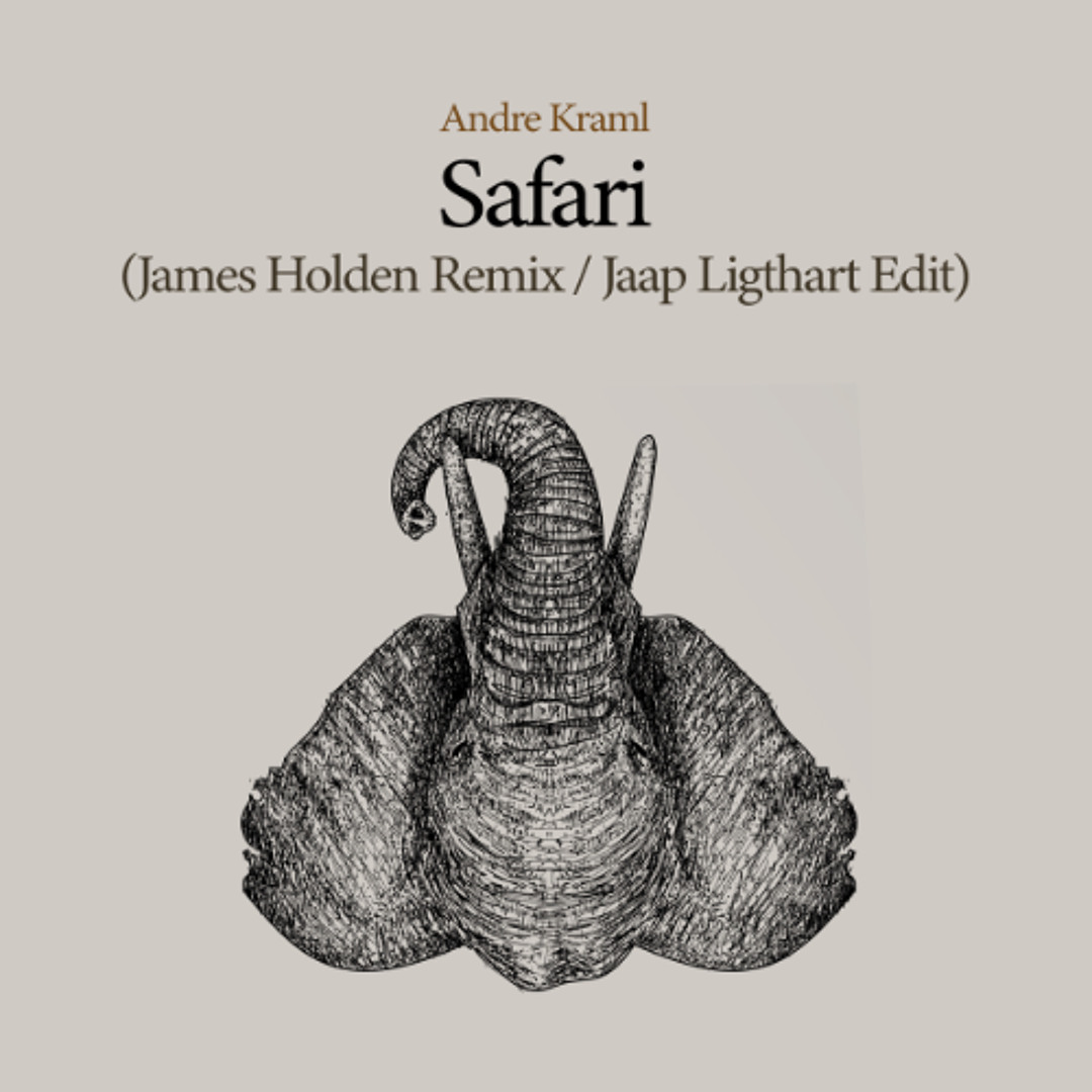 Stream Andre Kraml - Safari (James Holden Remix - Jaap Ligthart