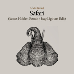 Andre Kraml - Safari (James Holden Remix - Jaap Ligthart Edit)