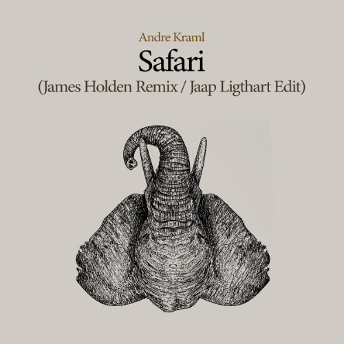 Andre Kraml - Safari (James Holden Remix - Jaap Ligthart Edit)