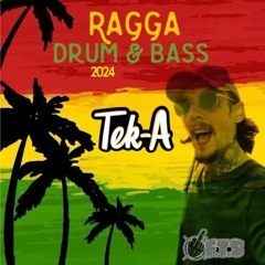 Tek-A  Ragga DnB Piratek Resident Mix