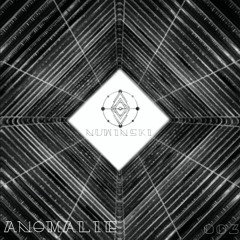 Anomalie #003 | Nuwinski