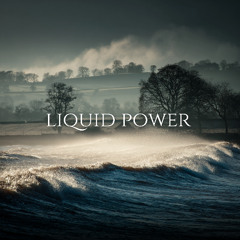 Kierkegaard on Crowds