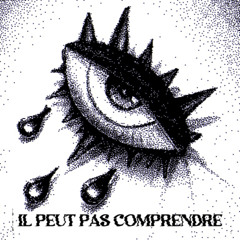 IL PEUT PAS COMPRENDRE