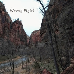 Wrong fight