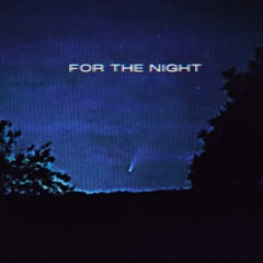 FOR THE NIGHT (prod. molly825)