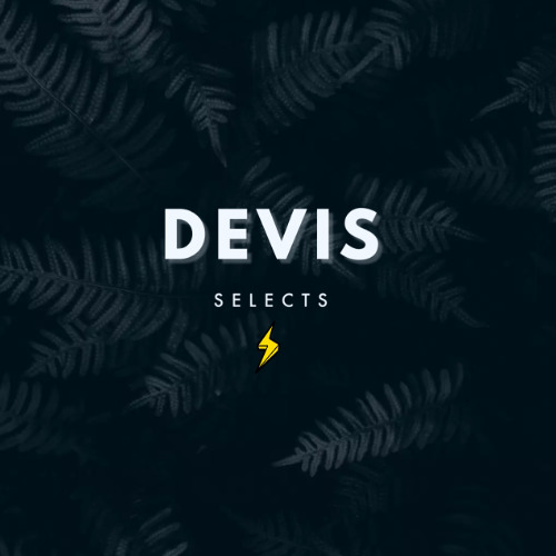 DEVIS SELECTS #012