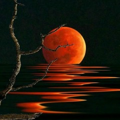 LUNA MENGUANTE INSTRUMENTAL EN VENTA / BEAT FOR SALE