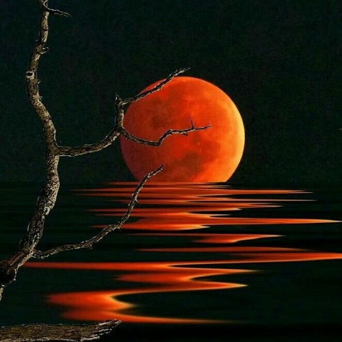 LUNA MENGUANTE INSTRUMENTAL EN VENTA / BEAT FOR SALE