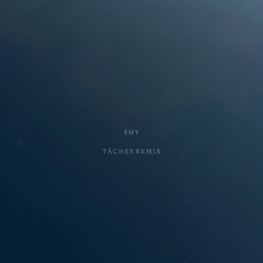 Shy - TACHES Remix