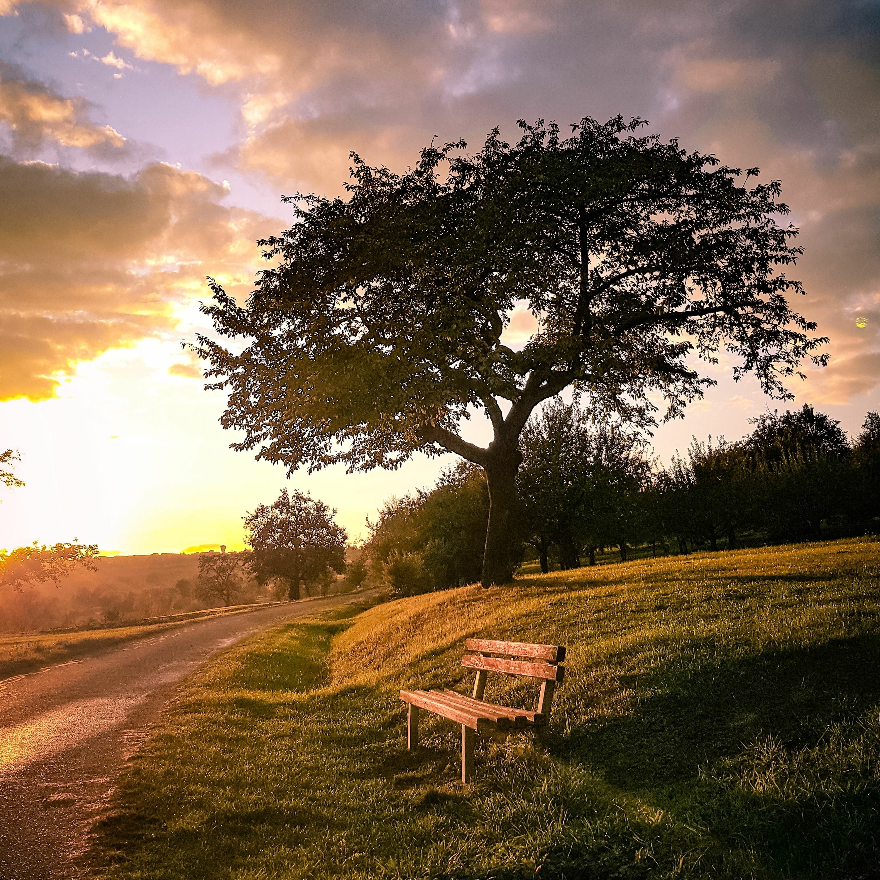 Christliches Zentrum Thalwil