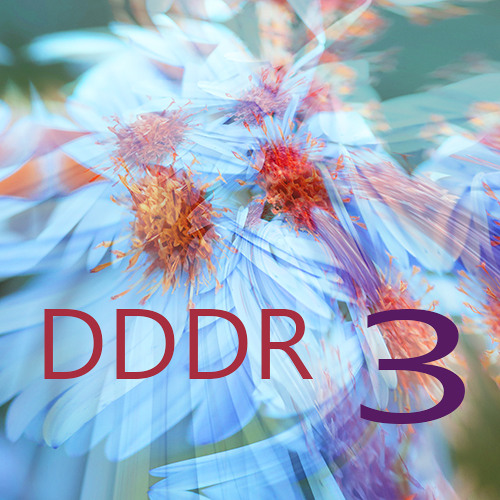 DDDR 3