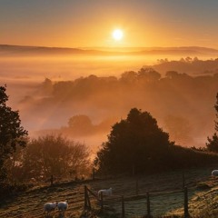 Chasing The Sunshine