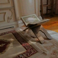وَمَا أُوتِيتُم مِّن شَيْءٍ فَمَتَاعُ الْحَيَاةِ الدُّنْيَا وَزِينَتُهَا | عمر شلبي