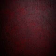 Deceit | @LouisPierreProd