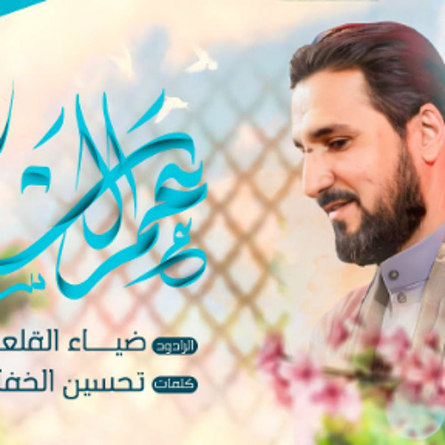 عم السادة | ضياء القلعاوي | افراح شعبان 2024 م