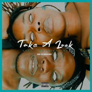 Take A Look (Feat. Pulchritude)