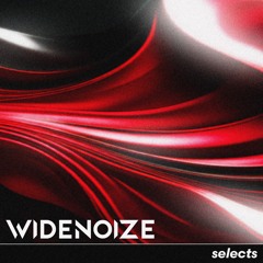 WIDENOIZE selects