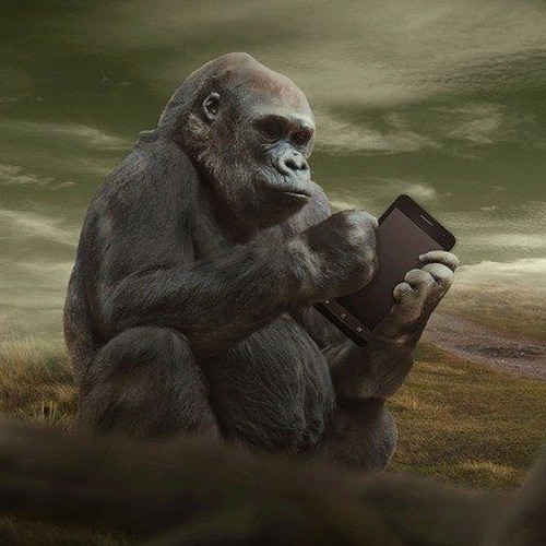 Let Me (STBB #717 LATE NONENTRY)