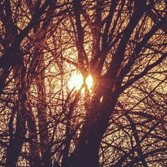 THE GREAT LED IN THE SKY