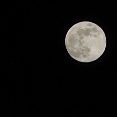 dagger- slowdive Cover