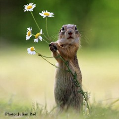 Eclectic current – The other side of silence