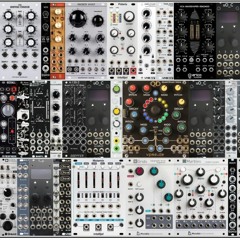 Paraphonal Feedback Live