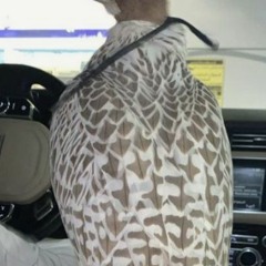 ارحم ترحم يامزيون (1)