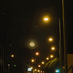 trust the stars. mix - 08/2022