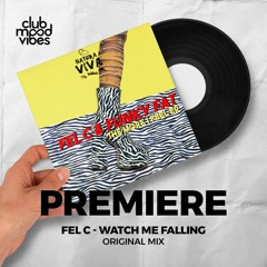 PREMIERE: Fel C ─ Watch Me Falling (Original Mix) [Natura Viva]